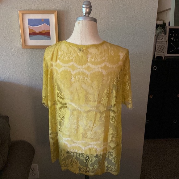 FOSSIL | Yellow Lace Top - Picture 4 of 5